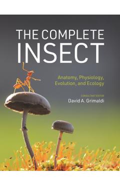 The Complete Insect: Anatomy, Physiology, Evolution, and Ecology - David A. Grimaldi