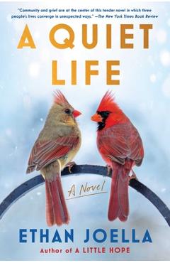 A Quiet Life - Ethan Joella