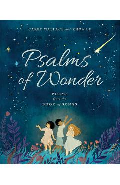 Psalms of Wonder: Poems from the Book of Songs - Carey Wallace