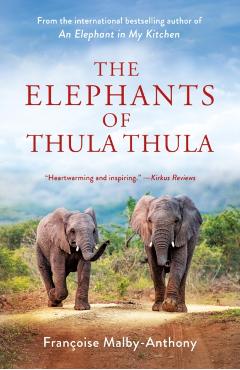 The Elephants of Thula Thula - Françoise Malby-anthony