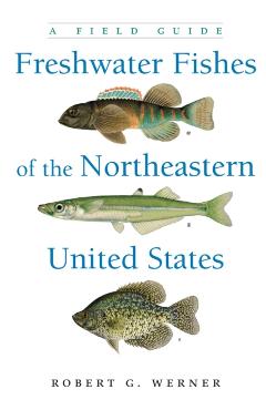 Freshwater Fishes of the Northeastern United States: A Field Guide - Robert G. Werner