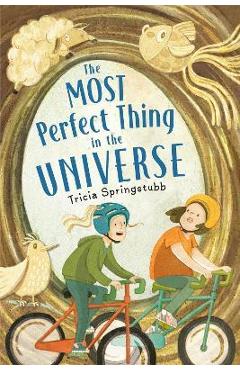 The Most Perfect Thing in the Universe - Tricia Springstubb