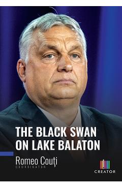 The Black Swan on Lake Balaton - Romeo Couti