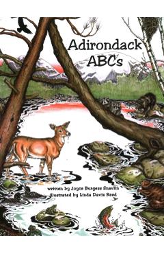 Adirondack ABCs - Snavlin Reed