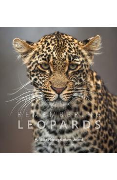 Remembering Leopards - Margot Raggett