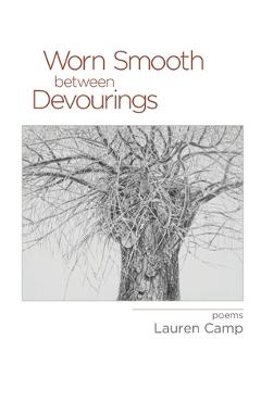 Worn Smooth between Devourings - Lauren Camp