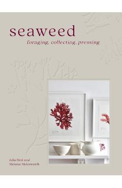 Seaweed: Foraging, Collecting, Pressing - Melanie Molesworth