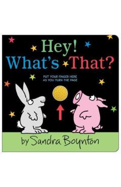 Hey! What's That? - Sandra Boynton