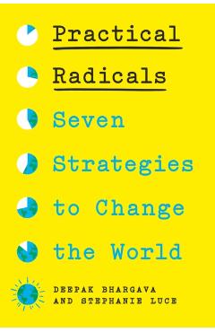 Practical Radicals: Seven Strategies to Change the World - Deepak Bhargava