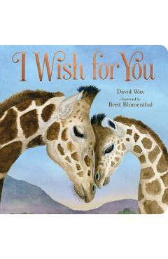 I Wish for You - David Wax