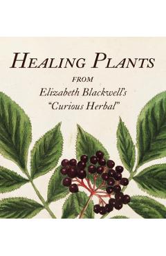 Healing Plants: From Elizabeth Blackwell's a Curious Herbal - Marta Mcdowell
