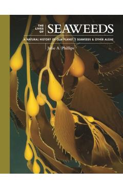 The Lives of Seaweeds: A Natural History of Our Planet\'s Seaweeds and Other Algae - Julie A. Phillips