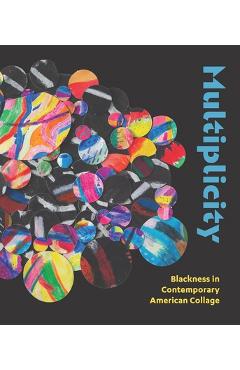 Multiplicity: Blackness in Contemporary American Collage - Kathryn E. Delmez