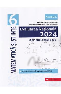 Evaluarea nationala 2024. matematica si stiinte - clasa 6 - florin antohe, bogdan antohe, marius antonescu, lucia popa, agnes voica