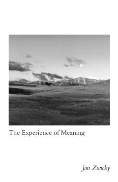 Experience of Meaning - Jan Zwicky