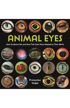 Animal Eyes: How Creatures See and How Their Eyes Have Adapted to Their World - Françoise Vulpé