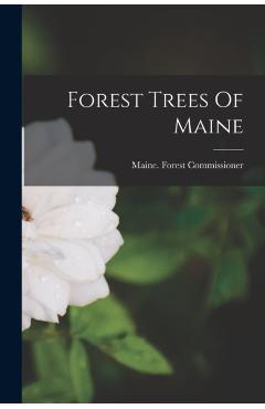Forest Trees Of Maine - Maine Forest Commissioner
