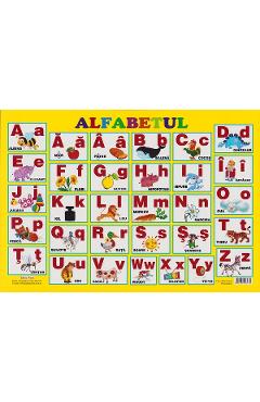 Plansa. alfabetul