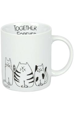 Cana: funny cats