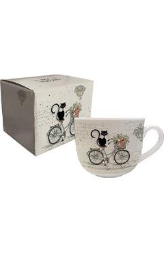 Bol: chats sur velo