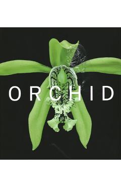 Orchid: marie selby botanical gardens - david a. berry