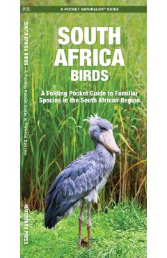 South Africa Birds: A Folding Pocket Guide to Familiar Species in the South African Region - James Kavanagh