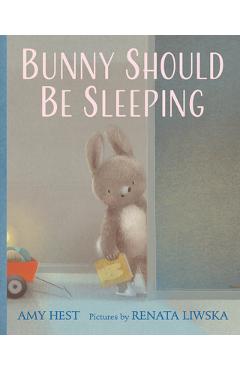 Bunny Should Be Sleeping - Amy Hest