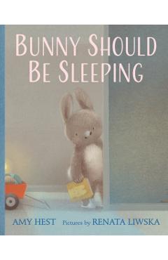 Bunny Should Be Sleeping - Amy Hest