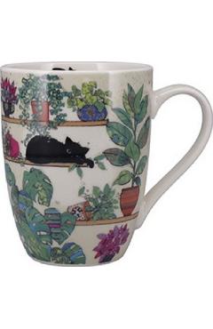 Cana: Chatons Plantes