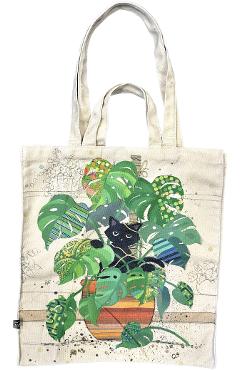 Sacosa: chaton monstera