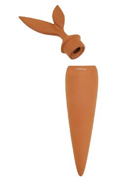 Stropitoare: terracotta watering stake