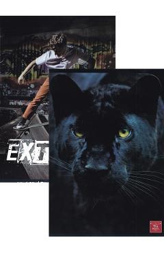 Set 2 caiete dictando: extreme skate + wild