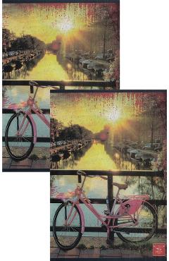 Set 2 caiete dictando: pink bike