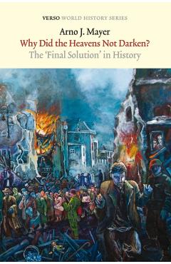 Why Did the Heavens Not Darken?: The Final Solution in History - Arno J. Mayer
