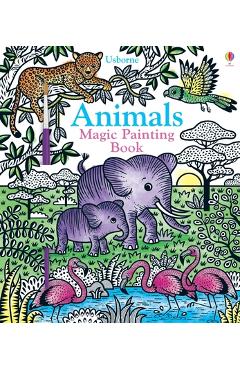 Animals Magic Painting Book - Sam Taplin