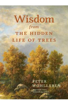 Wisdom from the Hidden Life of Trees - Peter Wohlleben