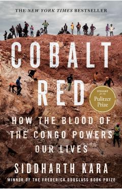 Cobalt Red: How the Blood of the Congo Powers Our Lives - Siddharth Kara