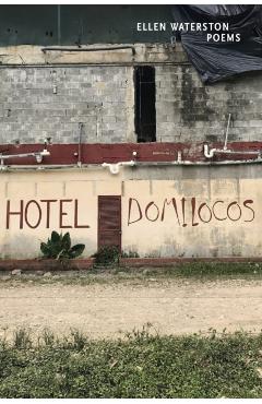 Hotel Domilocos: Poems - Ellen B. Waterston
