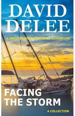 Facing the Storm - David Delee