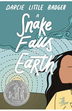 A Snake Falls to Earth - Darcie Little Badger