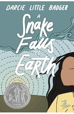 A Snake Falls to Earth - Darcie Little Badger