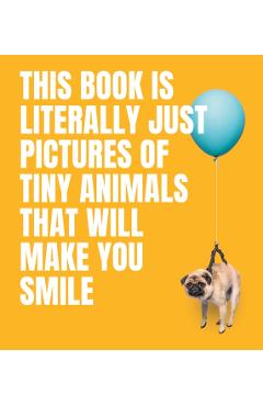 This Book Is Literally Just Pictures of Tiny Animals That Will Make You Smile - Smith Street Books