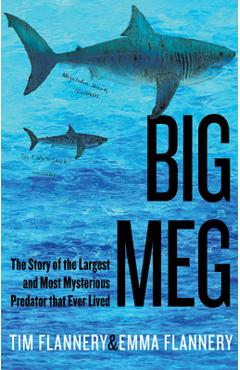 Big Meg: The Story of the Largest and Most Mysterious Predator That Ever Lived - Tim Flannery