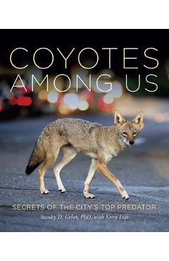 Coyotes Among Us: Secrets of the City\'s Top Predator - Stanley D. Gehrt