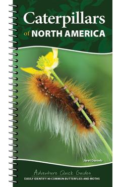 Caterpillars of North America: Easily Identify 90 Common Butterflies and Moths - Jaret C. Daniels