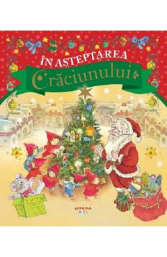 In asteptarea Craciunului