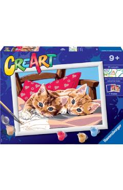 Pictura pe numere. Pisicute