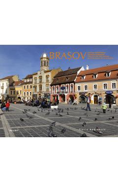 Brasov – Florin Andreescu Albume