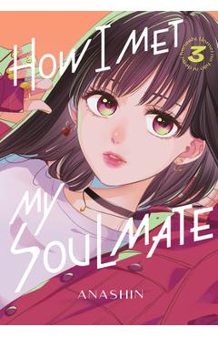 How I Met My Soulmate 3 - Anashin