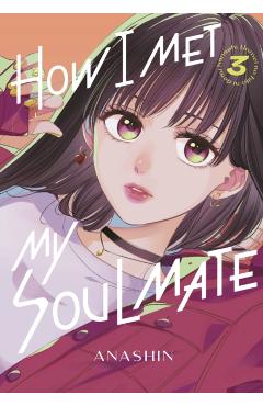 How I Met My Soulmate 3 - Anashin